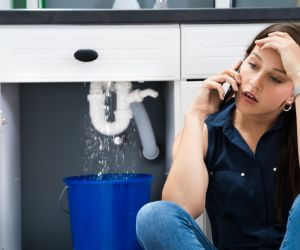 About Emergency plumbing pros Chatham, MI